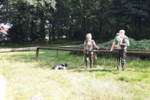 Hunde_32