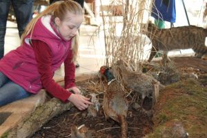 Fotos aus der Wild- und Waldschule_2