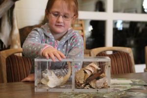 Fotos aus der Wild- und Waldschule_3