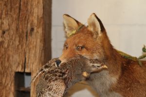 Wild- und Waldschule
