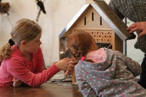 Wild- und Waldschule_3