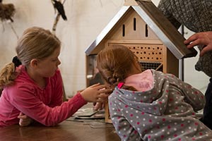 Wild- und Waldschule Hegering Velen-Ramsdorf